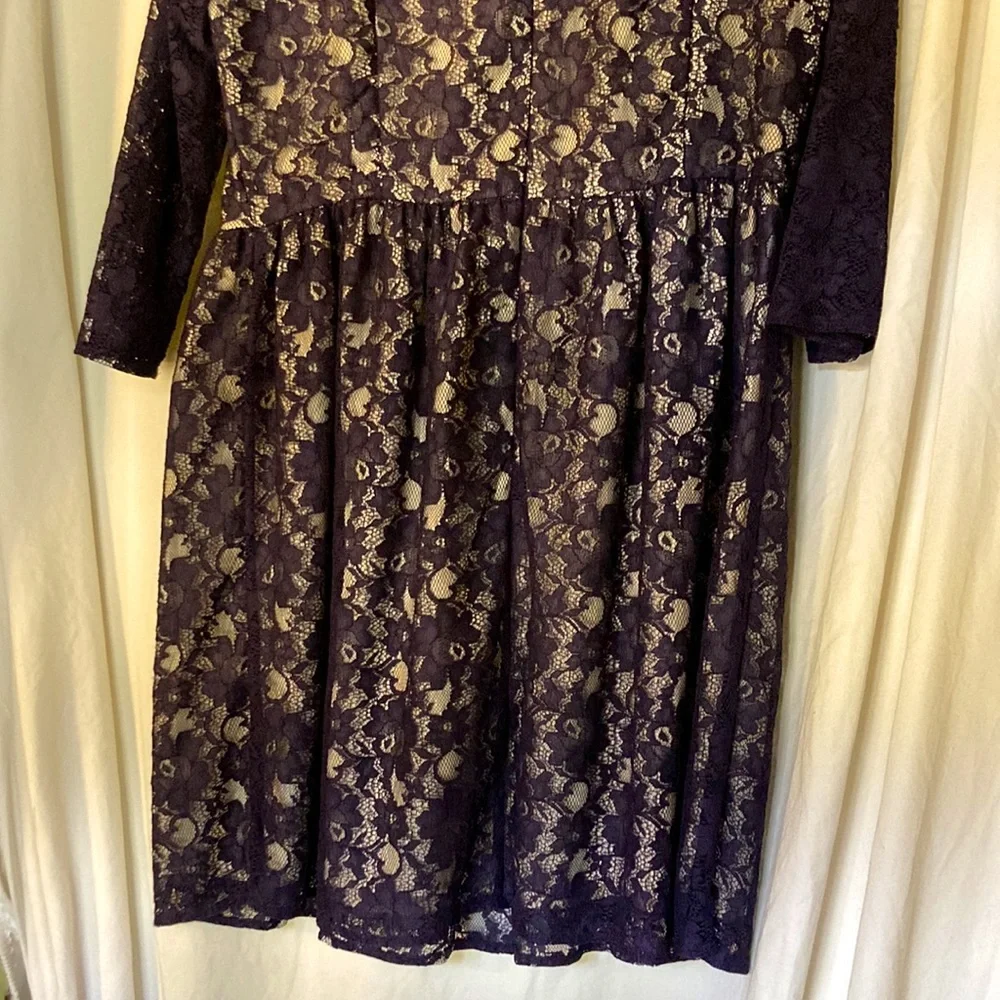 French Connection Navy Blue Lace Dress - Picture 5 of 15